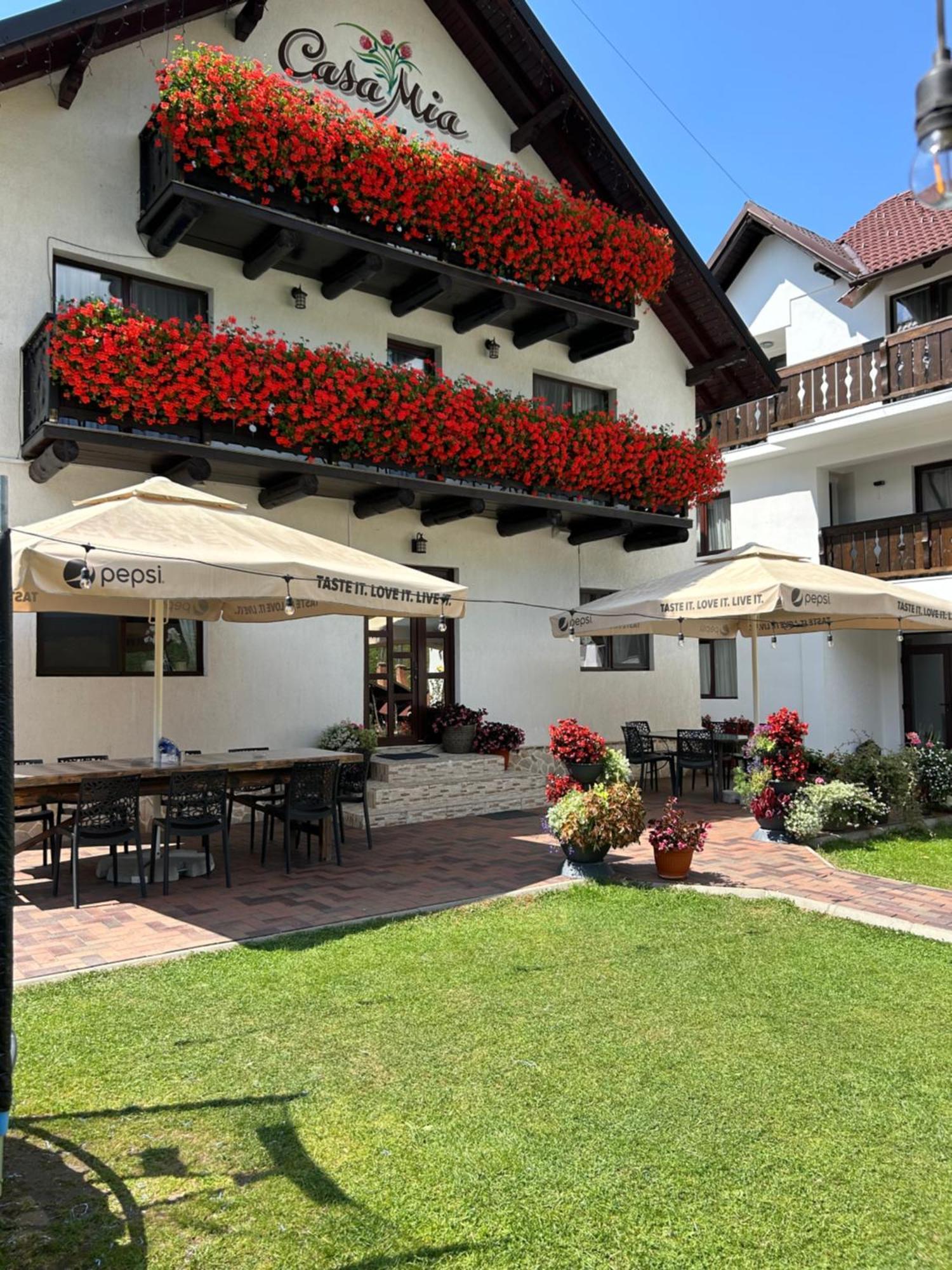 Hotel Casa Mia Moeciu De Sus Exterior foto